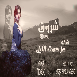 Listen to صمت الليل song with lyrics from شروق