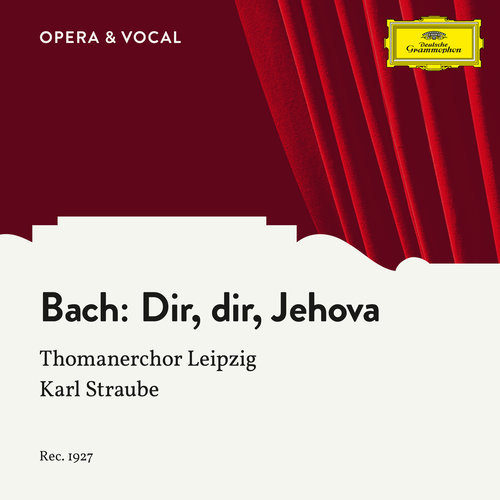 J.S. Bach: Dir, dir, Jehova will ich singen, BWV 452