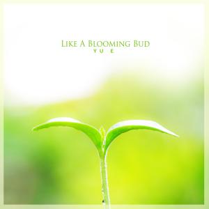Like A Blooming Bud