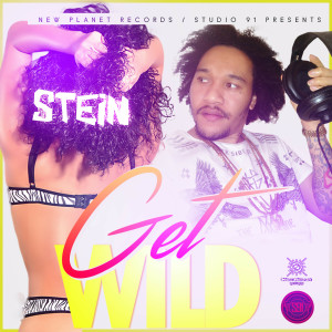 收聽Stein的Get Wild歌詞歌曲