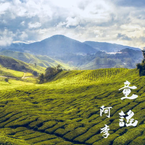 收听阿李的童谣歌词歌曲