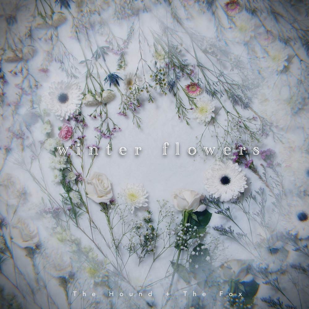Winter Flowers