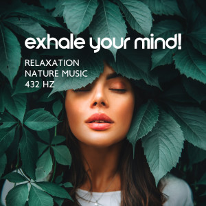 Listen to Music for Stress Relief (Healing Zen) song with lyrics from Nature Zone