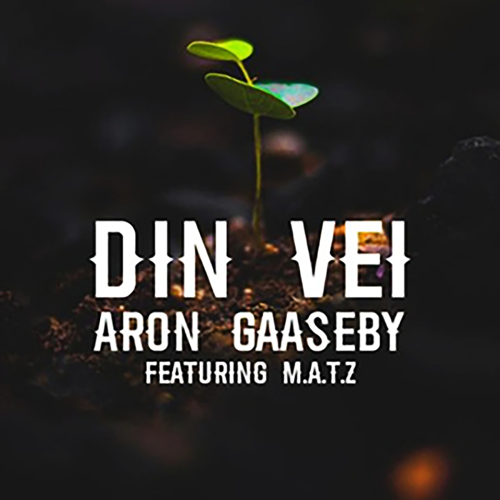 Din vei