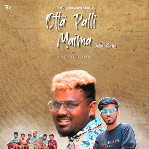 Album Otta Palli Maima from 