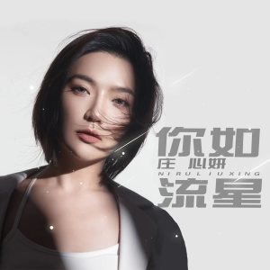 Listen to 你如流星 (DJ阿远版) song with lyrics from Ada (庄心妍)