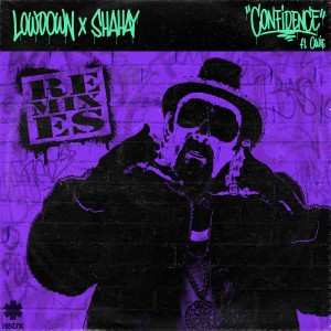 ดาวน์โหลดและฟังเพลง Confidence (SUBSHIFT Remix) พร้อมเนื้อเพลงจาก Lowdown