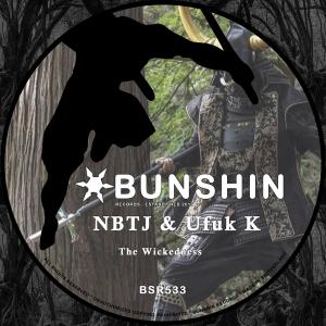收聽Ufuk K的The Wickedness歌詞歌曲