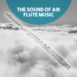 Camerata Rhenania的專輯The Sound of Air: Flute Music