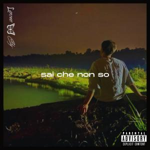 Cristy的專輯Sai che non so (feat. Cristy) (Explicit)