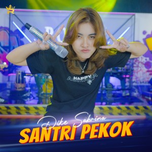 Dengarkan Santri Pekok (Cover) lagu dari Dike Sabrina dengan lirik