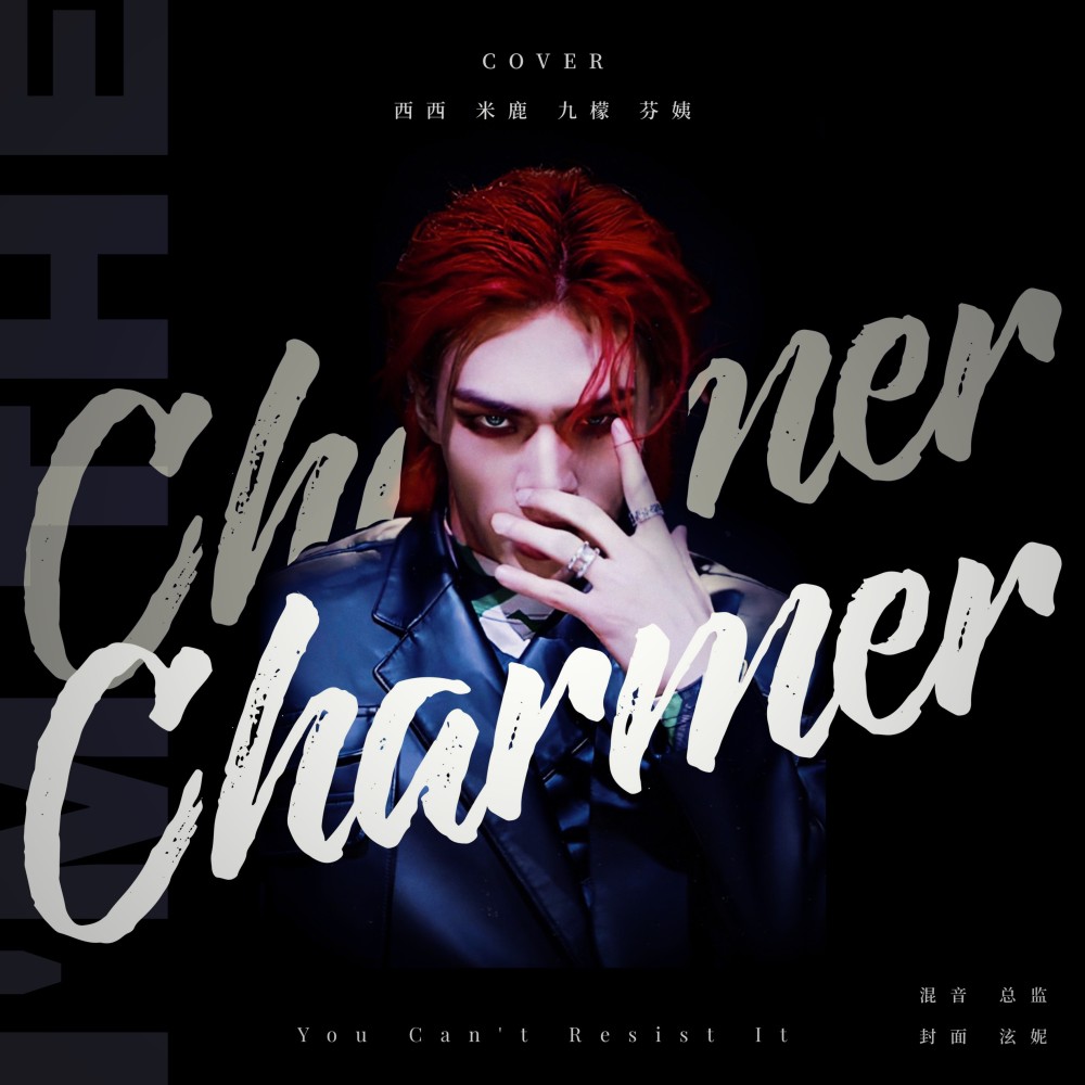 Charmer (cover: Stray Kids) (完整版)