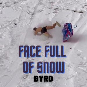 Byrd的专辑Face Full of Snow