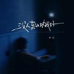 Listen to 没人真的对我好 (伴奏) song with lyrics from 尹又