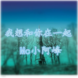 Dengarkan 另类雇佣兵 lagu dari MC小阿峰 dengan lirik