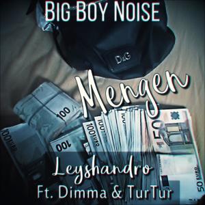Album Mengen (feat. Dimma & TurTur) from Leyshandro