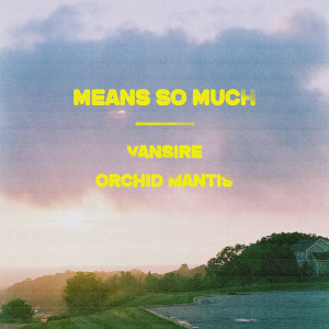 收聽Vansire的Means So Much歌詞歌曲