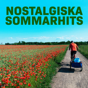 Various的專輯Nostalgiska Sommarhits