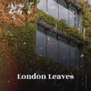 ดาวน์โหลดและฟังเพลง London Leaves พร้อมเนื้อเพลงจาก Boxcar Willie