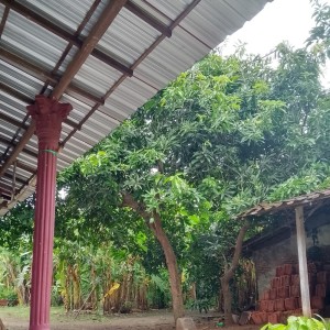 ดาวน์โหลดและฟังเพลง Khobbiri (Remastered 2024) พร้อมเนื้อเพลงจาก Zaidan