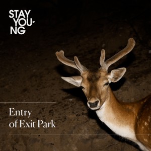 收聽Stay Young的Stay Young歌詞歌曲