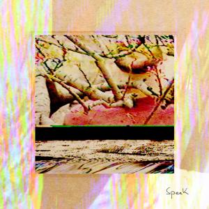 ดาวน์โหลดและฟังเพลง shell พร้อมเนื้อเพลงจาก Dan Langa