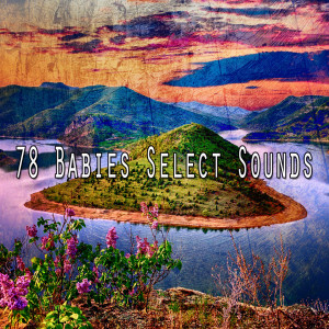 收听Calming Sounds的Night Warmth歌词歌曲