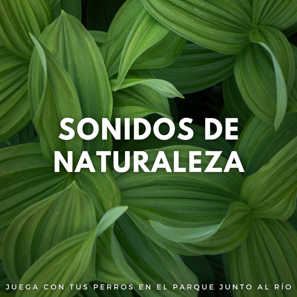 Sinfonía De La Naturaleza De Delicias Para Perros