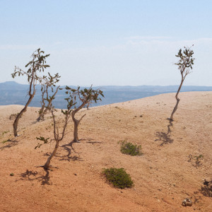 Dengarkan lagu Escalante nyanyian AK dengan lirik