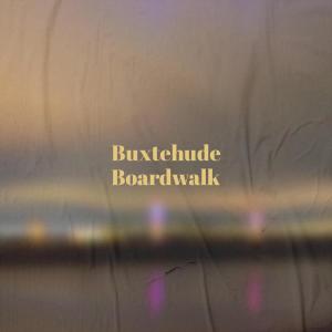 Various的专辑Buxtehude Boardwalk