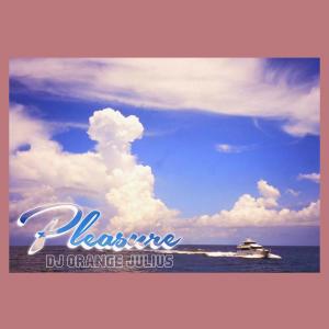 DJ Orange Julius的专辑Pleasure