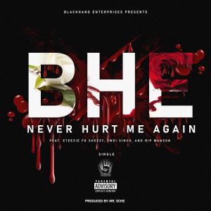 Hardcore Montana的專輯Never Hurt Me Again (feat. Eteezie Fo Sheezy, Zwei Cinco & Rip Manson) (Explicit)