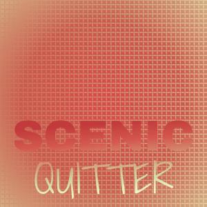 อัลบัม Scenic Quitter ศิลปิน Various