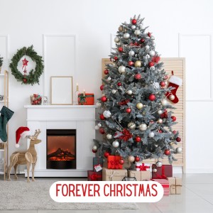 Various  Artists的專輯Forever Christmas