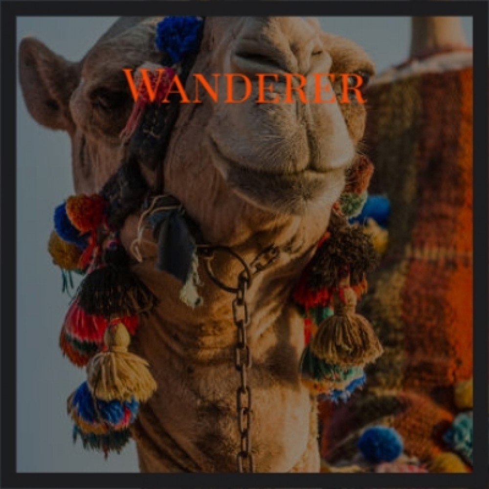 Wanderer