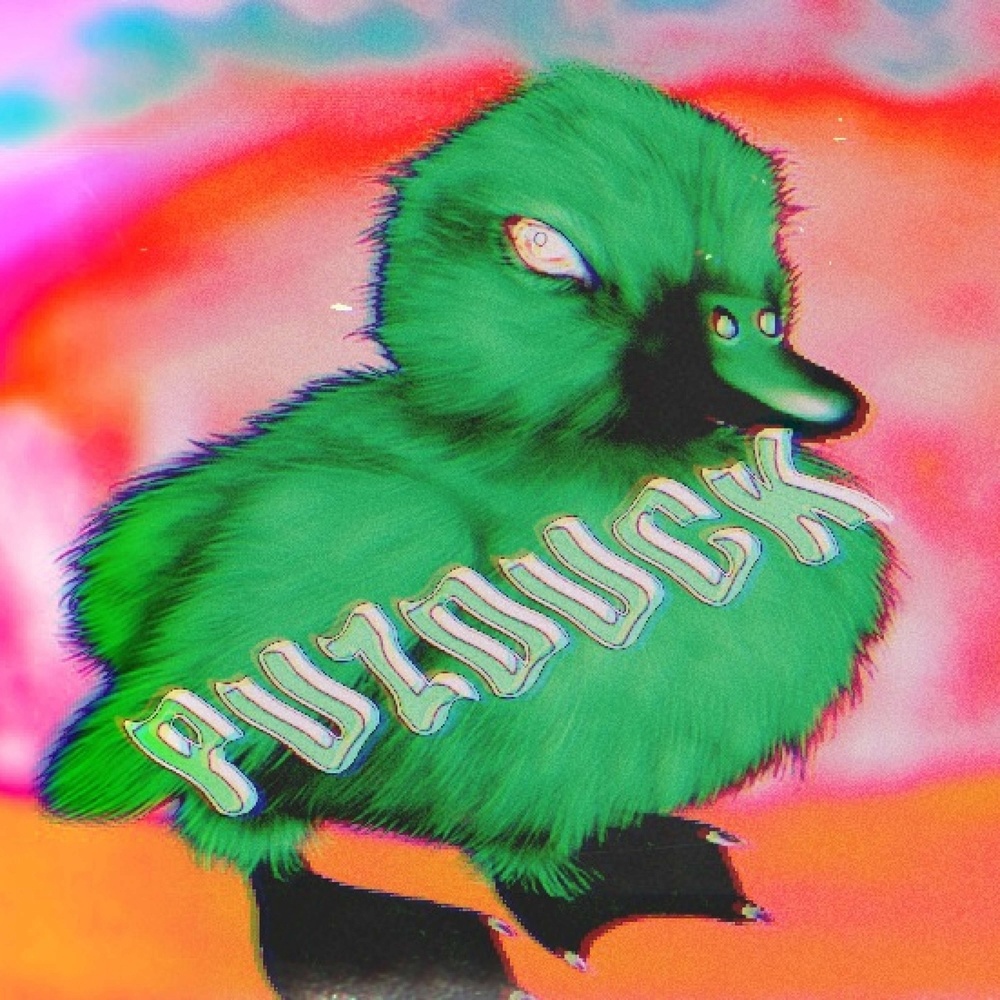 Puzduck