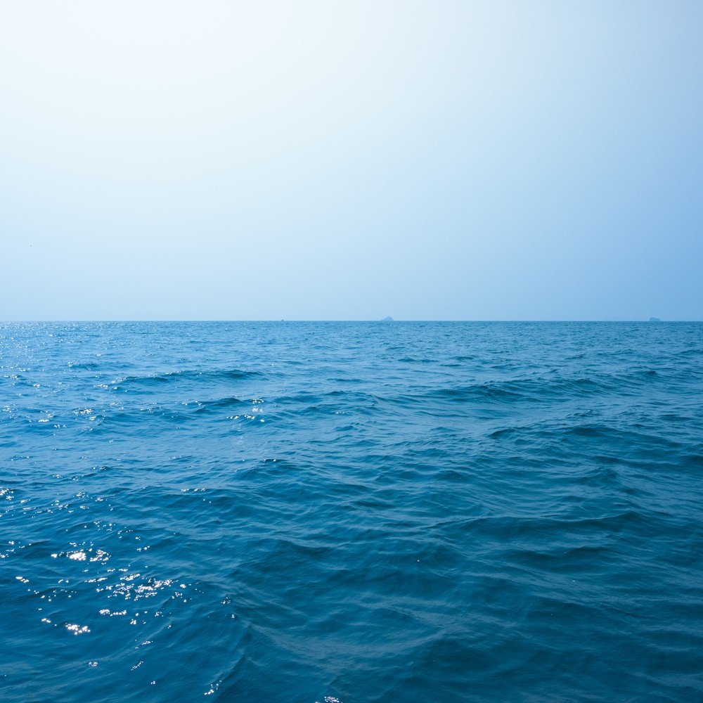 Sea Mindfulness