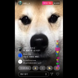 Listen to Underdog song with lyrics from 오드엑스
