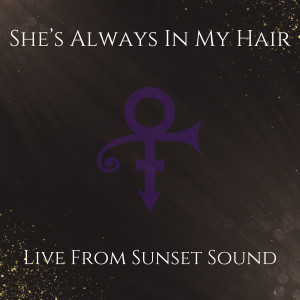 收听Drew Dempsey的She's Always in My Hair (Live at Sunset Sound)歌词歌曲
