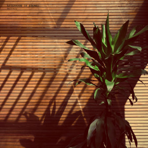 Recovery dari Afternoon In Stereo