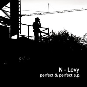 Listen to Perfect & Perfect song with lyrics from N-Levy