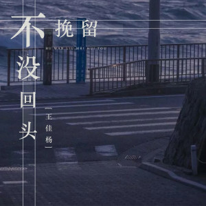Listen to 不挽留没回头 (伴奏) song with lyrics from 王佳杨
