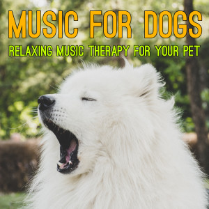 Dengarkan Bedtime Lullaby lagu dari Relaxmydog dengan lirik