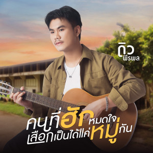 อัลบัม คนที่ฮักหมดใจเสือกเป็นได้แค่หมู่กัน - Single ศิลปิน ดิว พีรพล