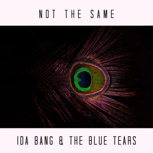 ดาวน์โหลดและฟังเพลง Not the Same (Single Version) พร้อมเนื้อเพลงจาก Ida Bang & The Blue Tears