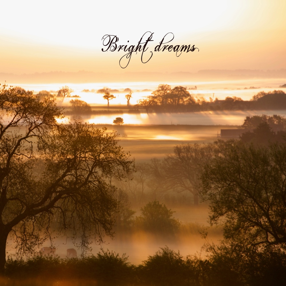 Bright Dreams