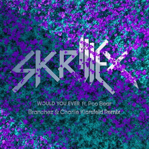 Would You Ever (Branchez & Charlie Klarsfeld Remix) (Remix)