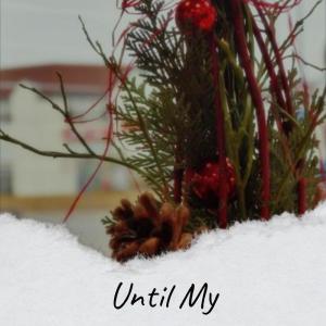 ดาวน์โหลดและฟังเพลง Human Pension พร้อมเนื้อเพลงจาก Rodry Ardi