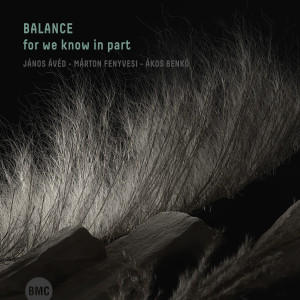 Listen to Vaikus song with lyrics from Balance
