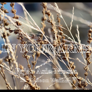 收聽Fajar Asia Music的In Your Arms歌詞歌曲